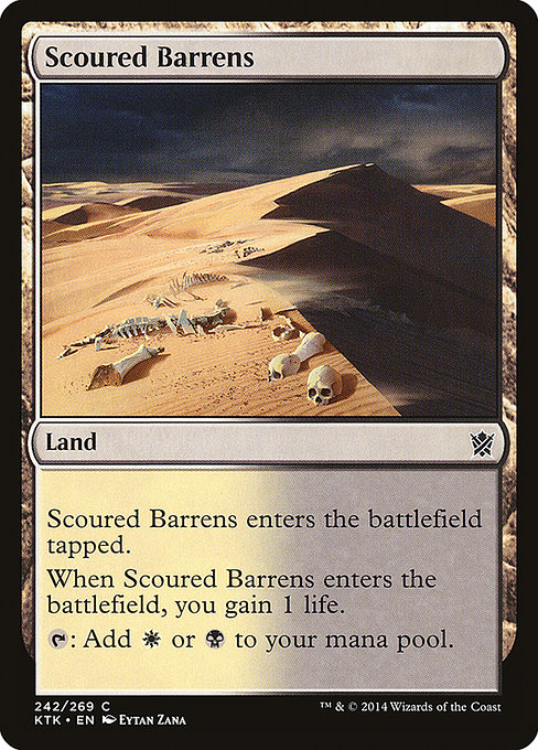 Scoured Barrens, art by Eytan Zana