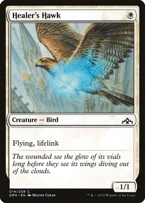 Healer's Hawk, art by Milivoj Ćeran