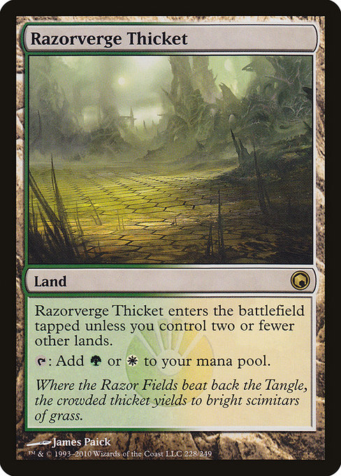 Razorverge Thicket, art by James Paick