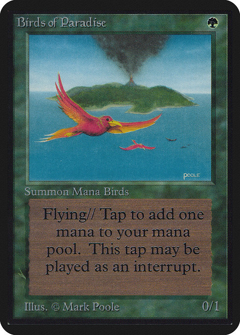 Birds of Paradise, art by Mark Poole