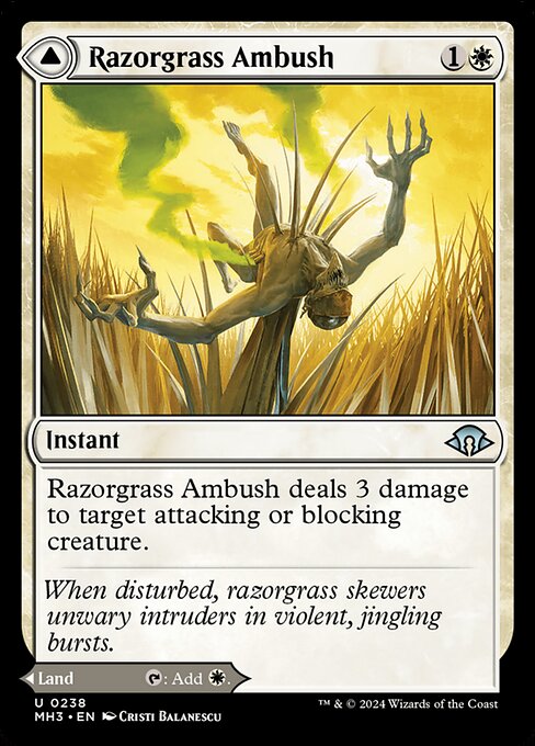 Razorgrass Ambush // Razorgrass Field, art by Cristi Balanescu