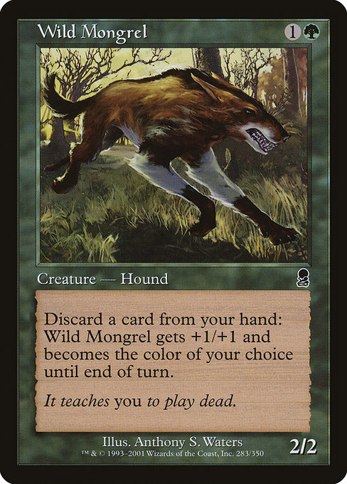 Wild Mongrel, art by Anthony S. Waters