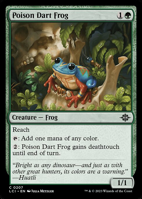 Poison Dart Frog, art by Julia Metzger