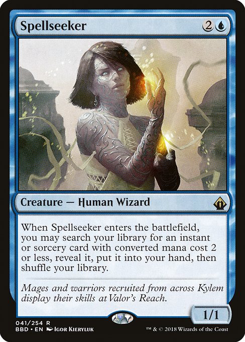 Spellseeker, art by Igor Kieryluk