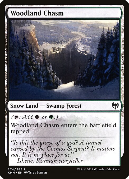 Woodland Chasm, art by Titus Lunter