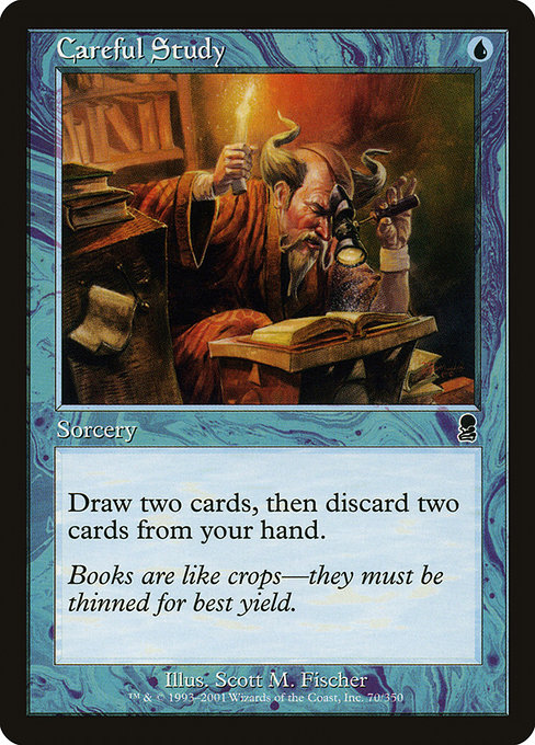 Careful Study, art by Scott M. Fischer